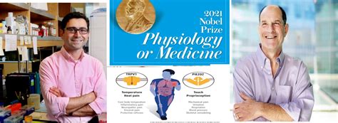 The Nobel Prize in Physiology Or Medicine 2021: Research by David Julius and Ardem Patapoutian ...