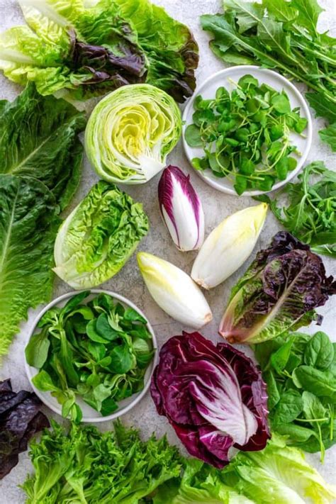 20 Types of Lettuce and Other Leafy Greens - Jessica Gavin