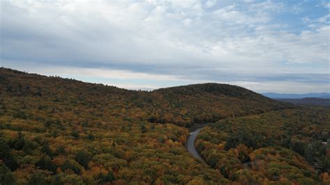 Mountain Foliage Fall Royalty Free Stock Video