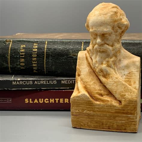 Socrates Bust - Etsy