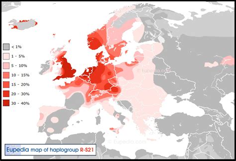 Y-DNA similarity % between England and countries around : r/MapPorn