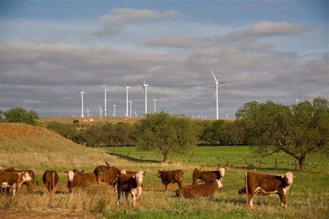 Future of Wind Technology | 10 Facts About Wind Farms