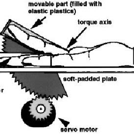 Schematic illustration of the stimulation device used in the present ...