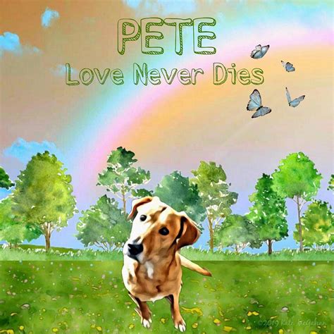 Pete Love Digital Art by Kate McGahan - Pixels