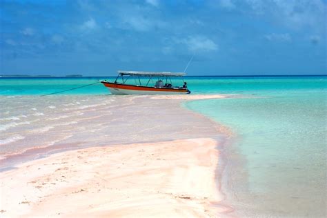 IMG_4844/French Polynésia/Rangiroa Atoll/Pink Sand Island/… | Flickr