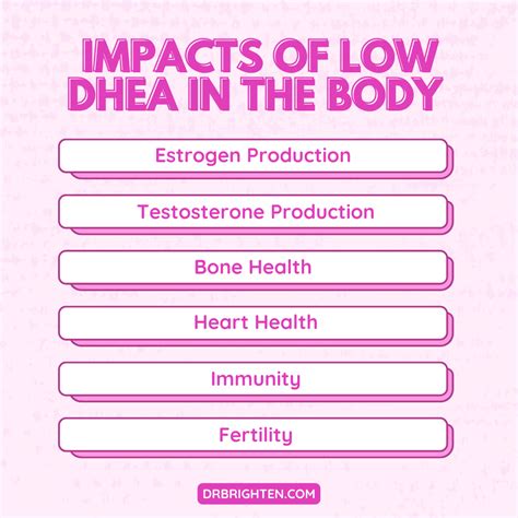 What Does DHEA Do And When Should You Take It? - Dr. Jolene Brighten