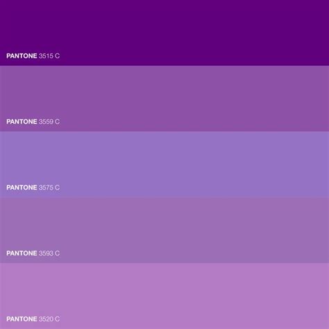 pantone's purple hues are the same color as each other