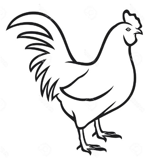 Simple Rooster Drawing | Free download on ClipArtMag