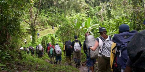 About-Us | Kokoda Tours