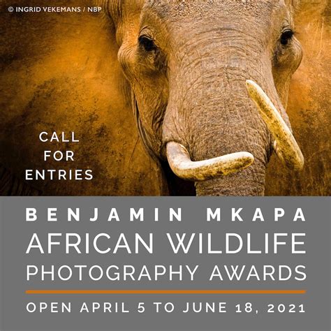 AWF and Nature’s Best Photography Announce the Benjamin Mkapa African ...