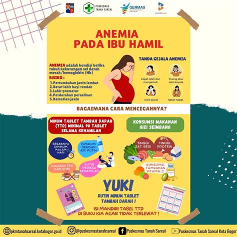 Anemia pada ibu hamil | Puskesmas Tanah Sareal