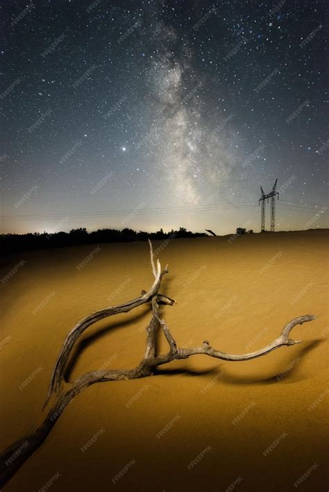 Premium Photo | Withered tree branch in the desert under night sky