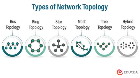 Real Life Bus Topology