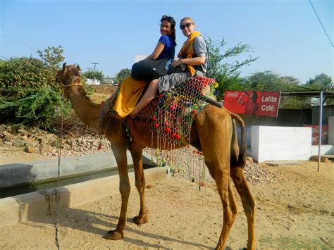 Indian Desert Safari in Pushkar, Rajasthan - Travel Moments