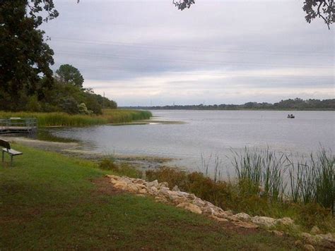 Lake Bastrop - 2020 What to Know Before You Go (with Photos) - Tripadvisor