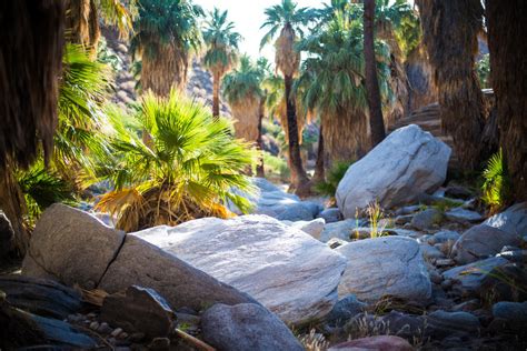 Hiking in Palm Springs | Hiking Trails in Greater Palm Springs