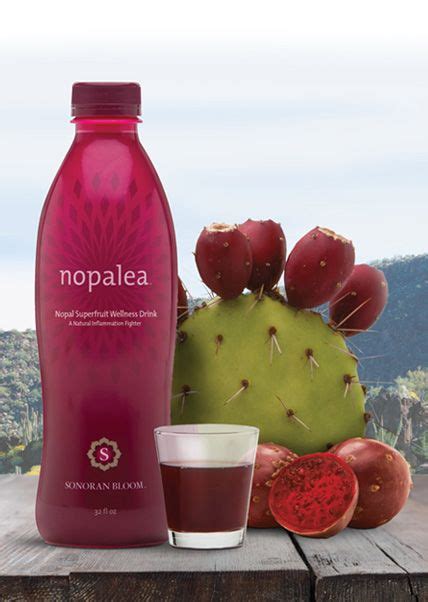 Nopalea by Trivita - Nopal Cactus Juice | nopal | Cactus, Juice, Fruit