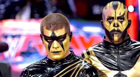 WWE Goldust & Stardust | Wwe goldust, Cody rhodes, Wwf