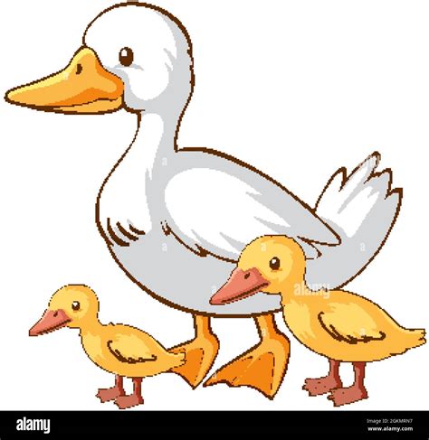 Mother and baby duck cartoon on white background illustration Stock ...