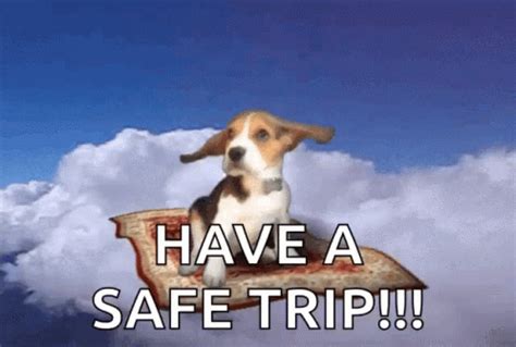 Safe Travel GIFs | Tenor