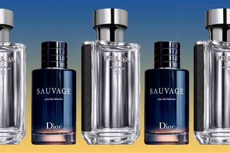 10 Classic Colognes That Will Never Let You Down | Best perfume for men ...