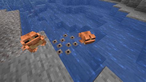 How long do Tadpoles take to grow in Minecraft 1.19?