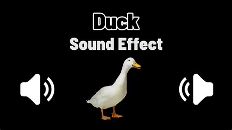 Duck Sound Effect | 鴨子音效 (High Quality) - YouTube