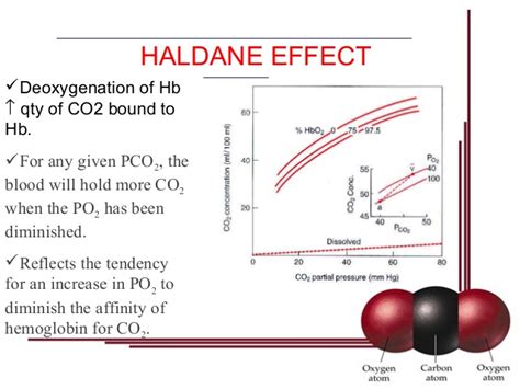 COPD and Hypoxic Drive: Mechanism | Medicine Specifics