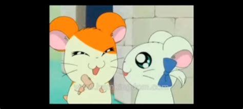 Hamtaro x bijou by hellokikilove on DeviantArt