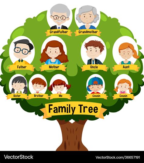 Diagram showing three generation family tree Vector Image