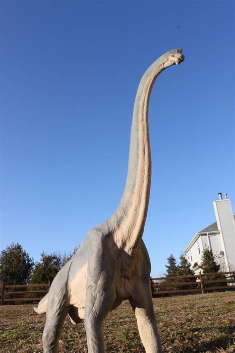 Jurassic Park Brachiosaurus by yankeetrex on DeviantArt