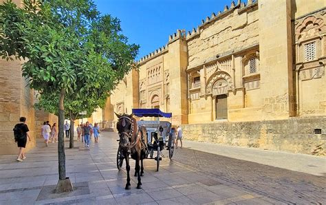 19 Top-Rated Tourist Attractions in Córdoba | PlanetWare