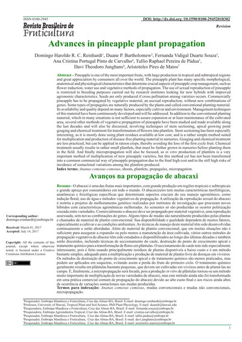 (PDF) Advances in pineapple plant propagation