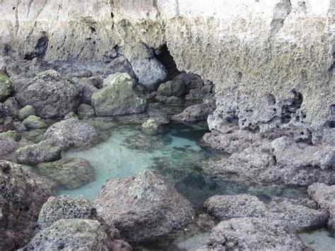 Tide pool at Canival beach, Portugal | Tide pools, Beautiful places, Photo