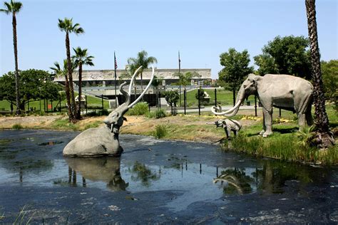 La Brea Tar Pits & Museum, Los Angeles, California, USA - Heroes Of Adventure