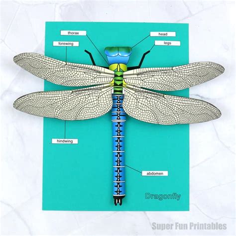 3D paper dragonfly - The Craft Train