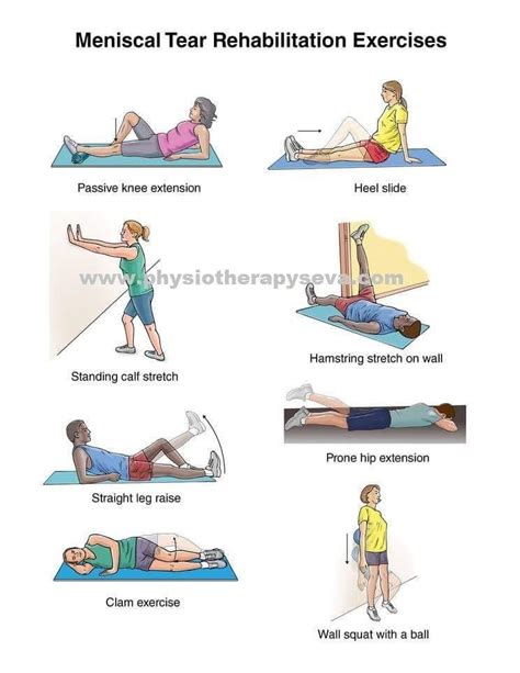 Pin on physio