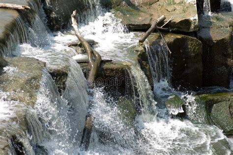 Waterfall - Fast Shutter Speed Stock Image - Image of wood, steps: 1012203