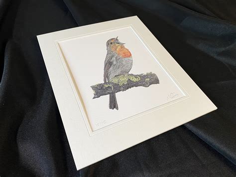 Robin Limited Edition Print Mounted 10x12 Print | Etsy