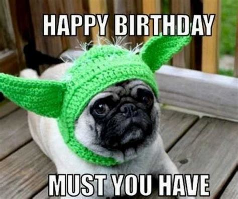 Happy Birthday Gif : 50+ Funny Birthday Memes | YesBirthday - Home of Birthday wishes & Inspiration