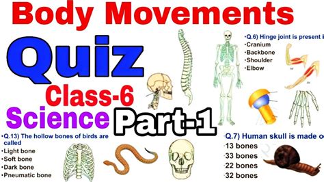 QUIZ / Body Movements / Class-6 SCIENCE/ NCERT extra Question Answers MCQ - YouTube