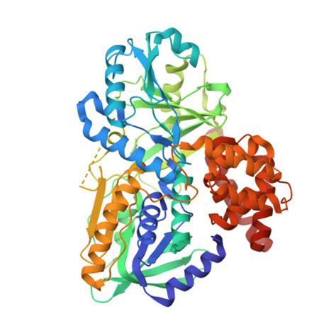 RCSB PDB - 2RGO: Structure of Alpha-Glycerophosphate Oxidase from Streptococcus sp.: A Template ...