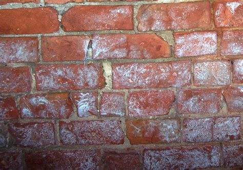 Tips for replacing spalling bricks | Pro Construction Guide