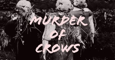 Murder Of Crows | Indiegogo