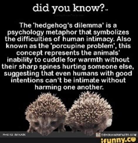 Hedgehog Dilemma - Meaning, Origin and Usage - English-Grammar-Lessons.com