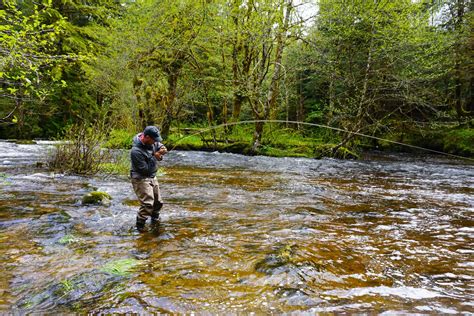 Chinook | Best Fly Fishing in Terrace