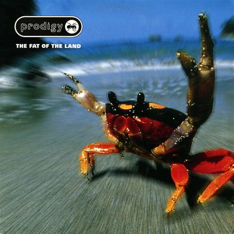 Prodigy: 'Fat of the Land' Review