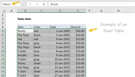 Excel Glossary | Exceljet