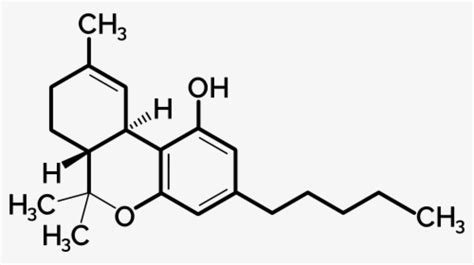 11 Hydroxy Thc 3d Spacefill - Thc Molecule 3d Model, HD Png Download ...