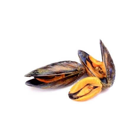 Black Mussels – Riverina Seafood Market